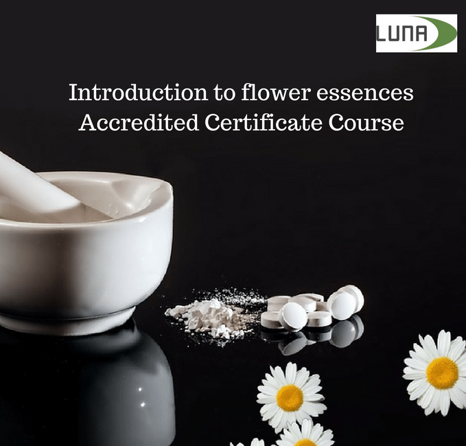 Bach Flower Remedies Certificate Course